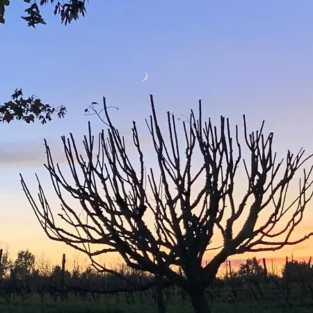 Apartman Majellon, A L'ouest Sainte-Christie-d'Armagnac