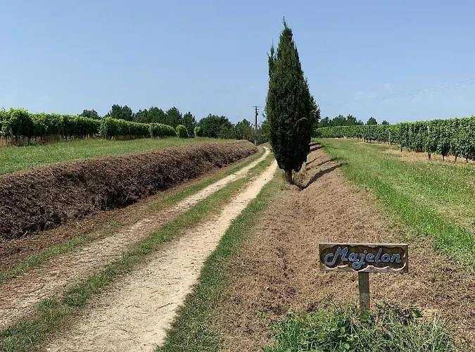 Apartman Majellon, A L'ouest Sainte-Christie-d'Armagnac