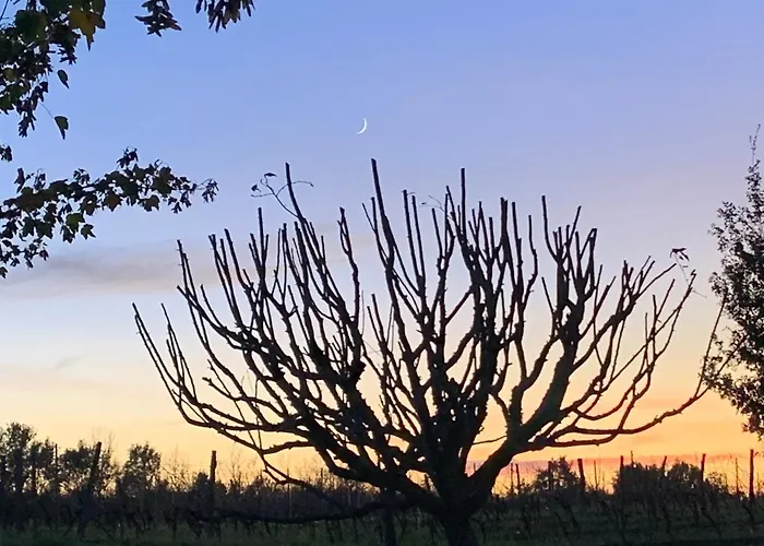 Apartman Majellon, A L'ouest Sainte-Christie-d'Armagnac